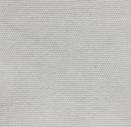 CP004 (CANVAS)